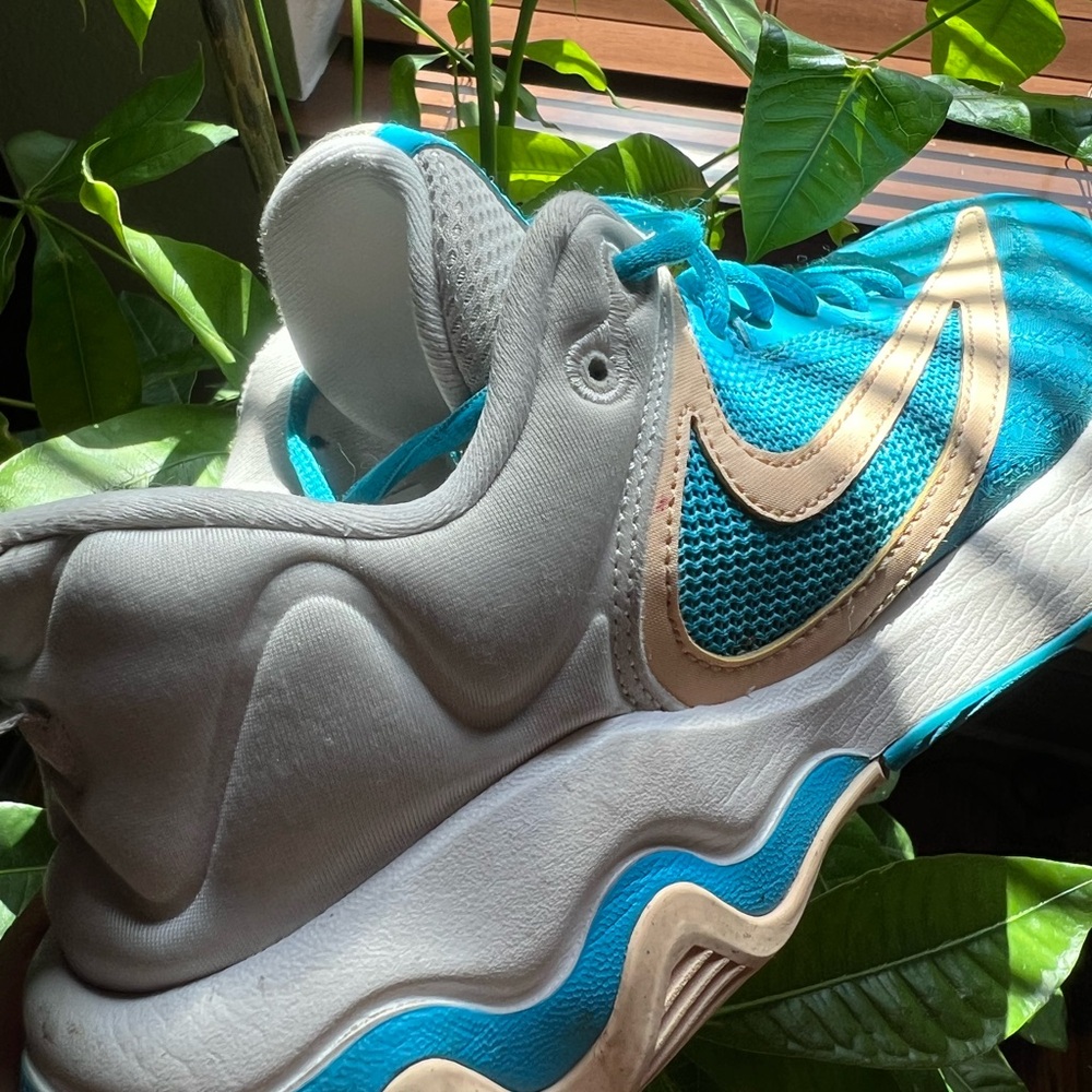 The Nike Giannis Immortality 3 Greece x Nigeria Men's Size 9.5